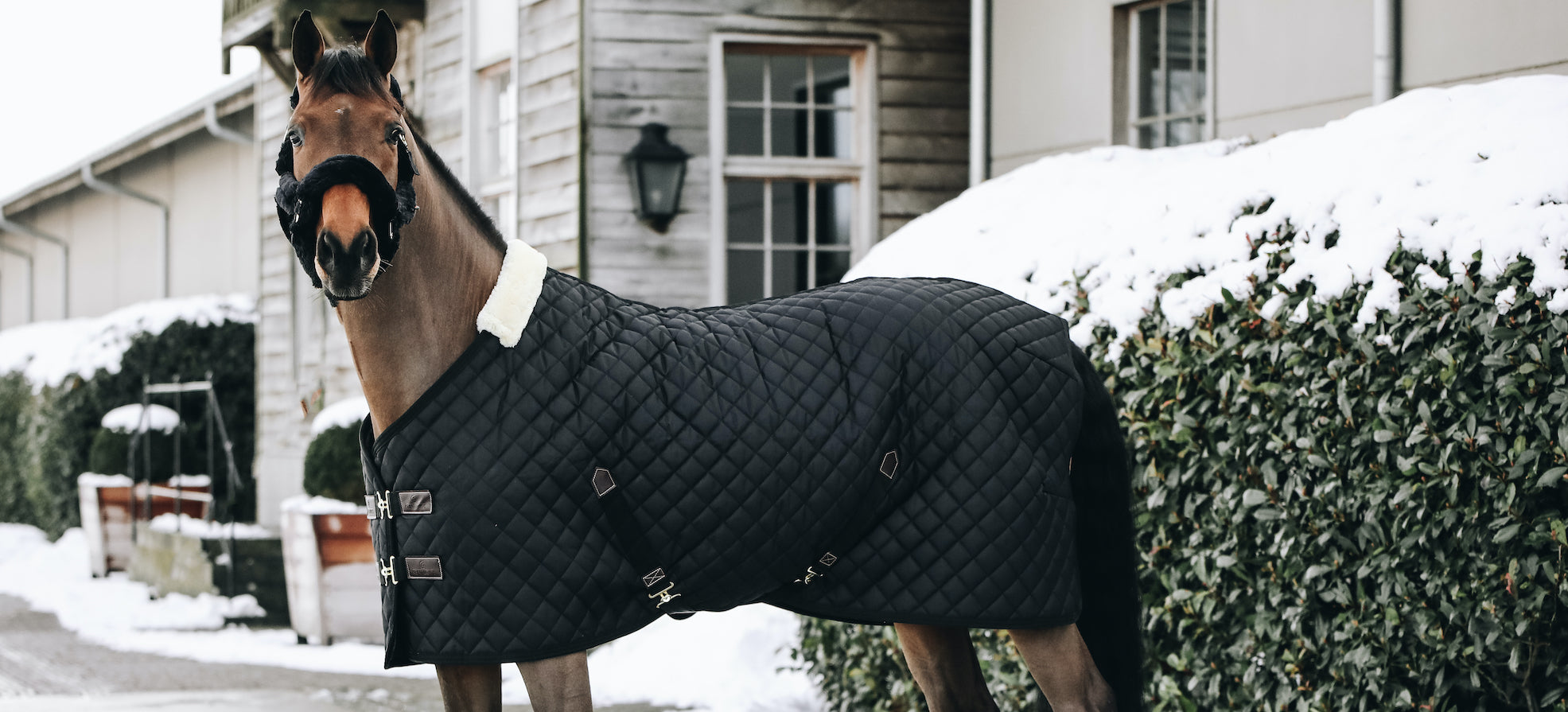 Blankets & Rugs – Dapper Horse