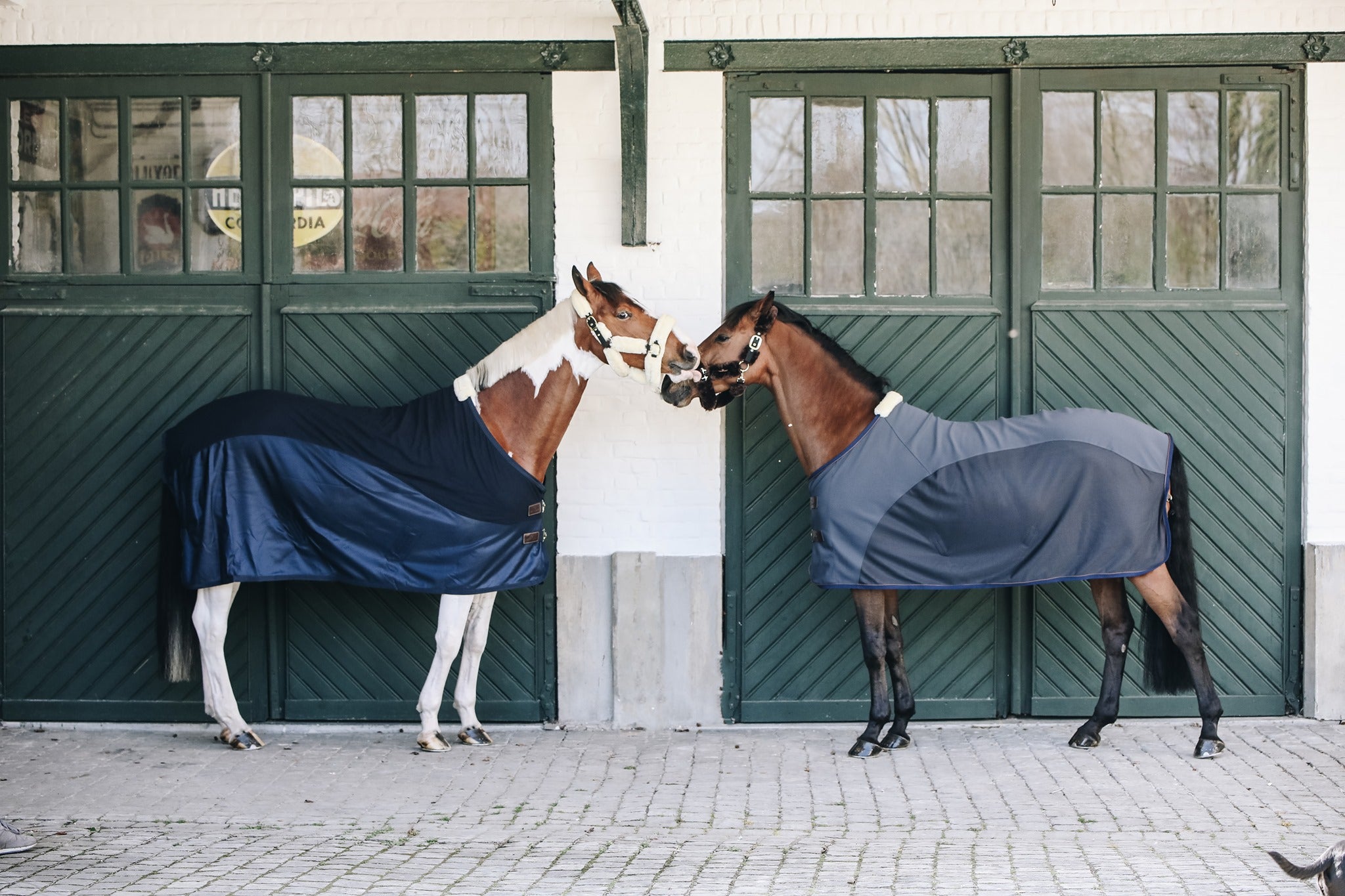 Blankets & Protection – Dapper Horse