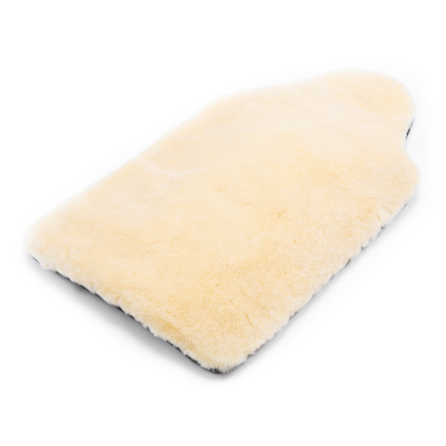 Werner Christ Tail Guard