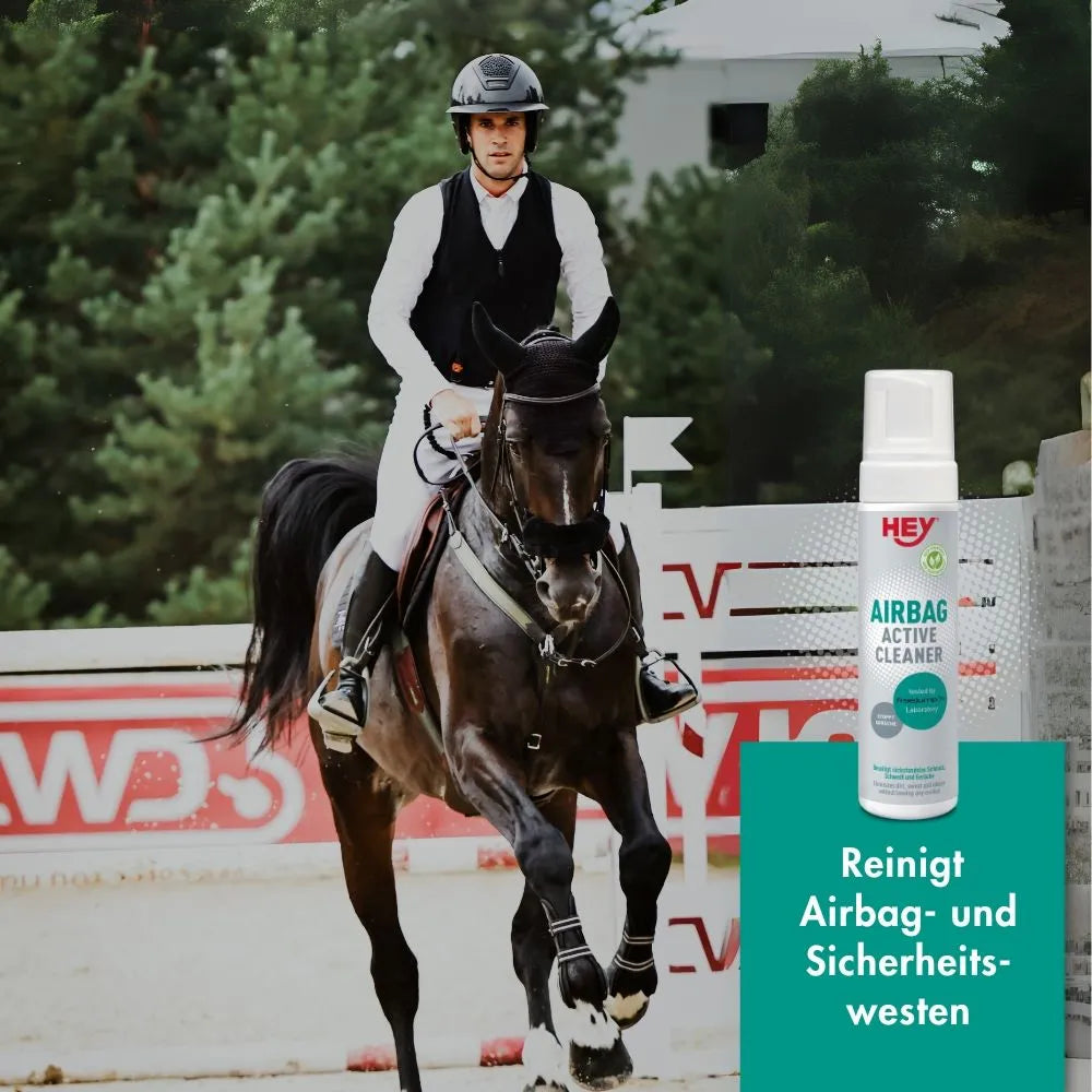 Effol/Effax HEY Airbag Active Cleaner