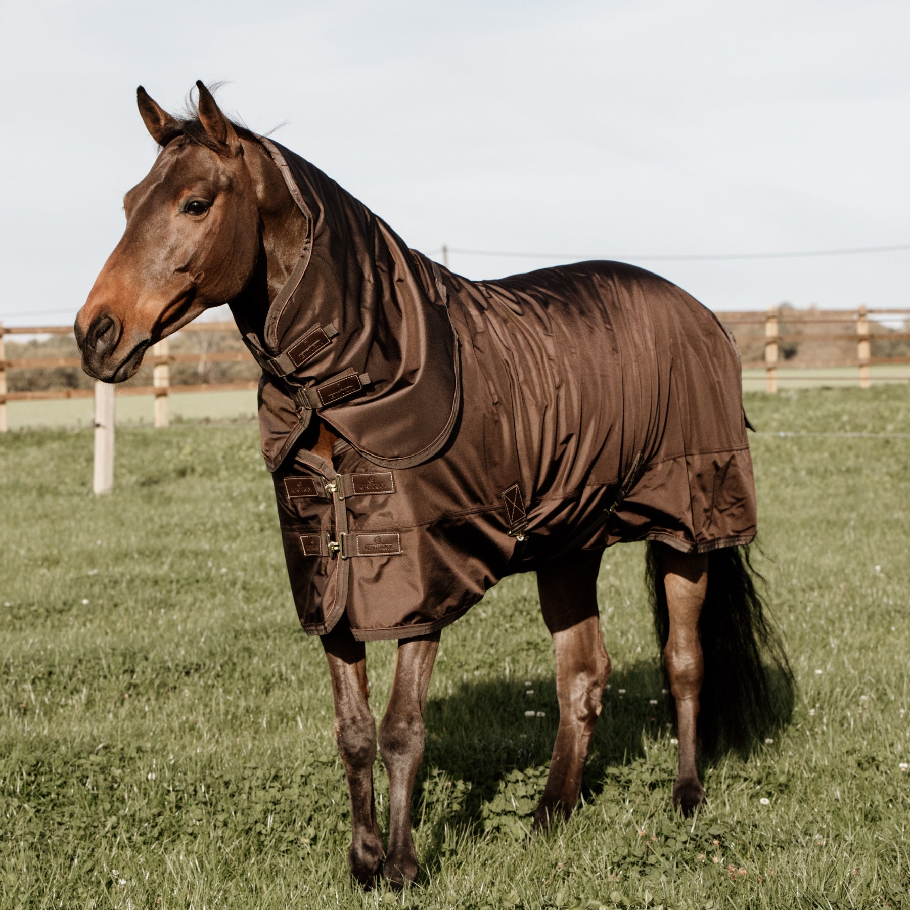 Kentucky Horsewear Turnout Rug All Weather Waterproof Pro 160g, Brown