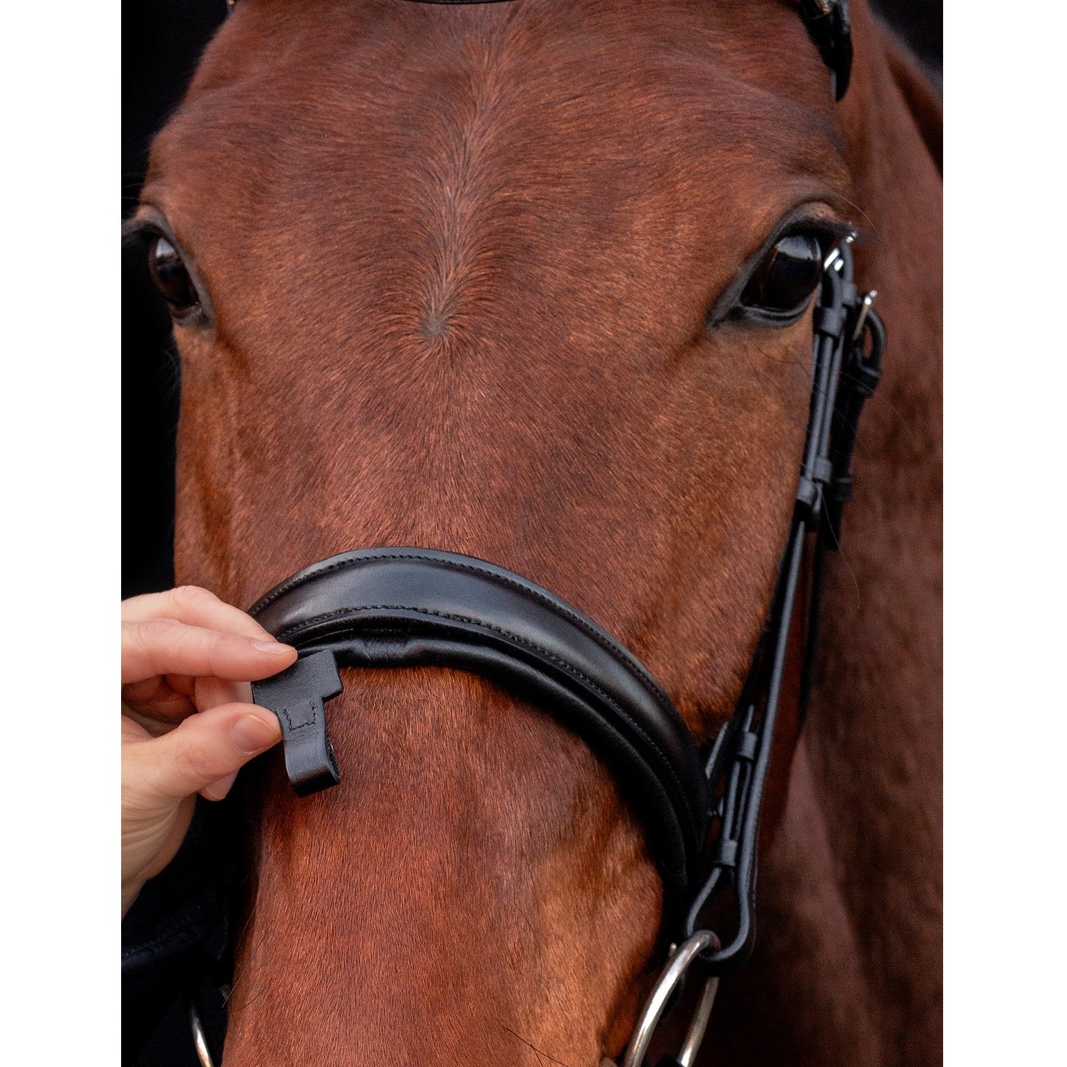 Schockemohle Malaga Bridle, Black/Gray/Silver