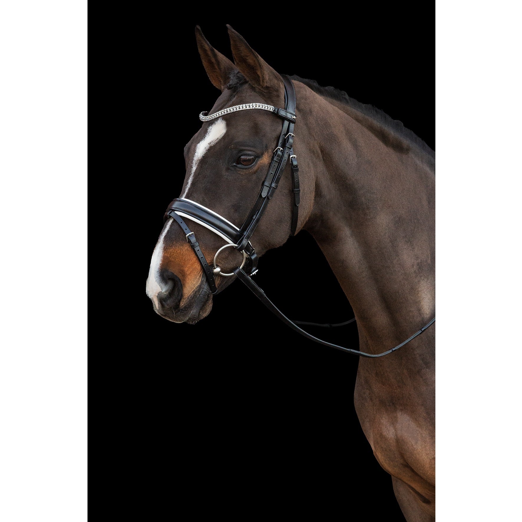 Schockemohle Malaga Bridle, Black/White/Silver