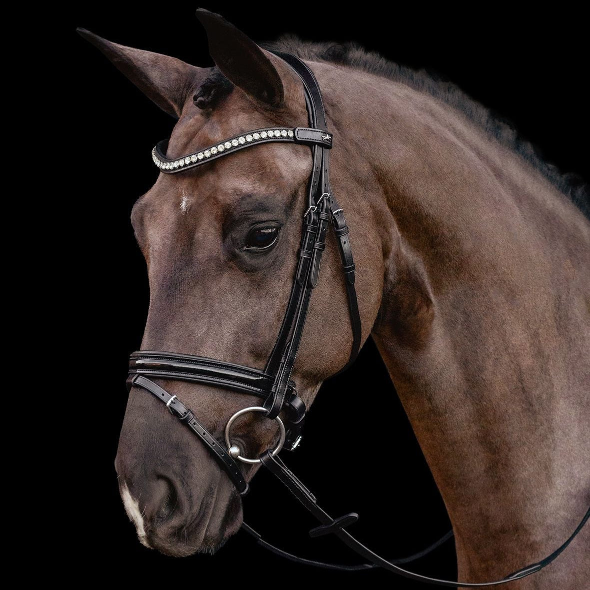 Schockemohle Palermo Bridle, Black Patent/Silver