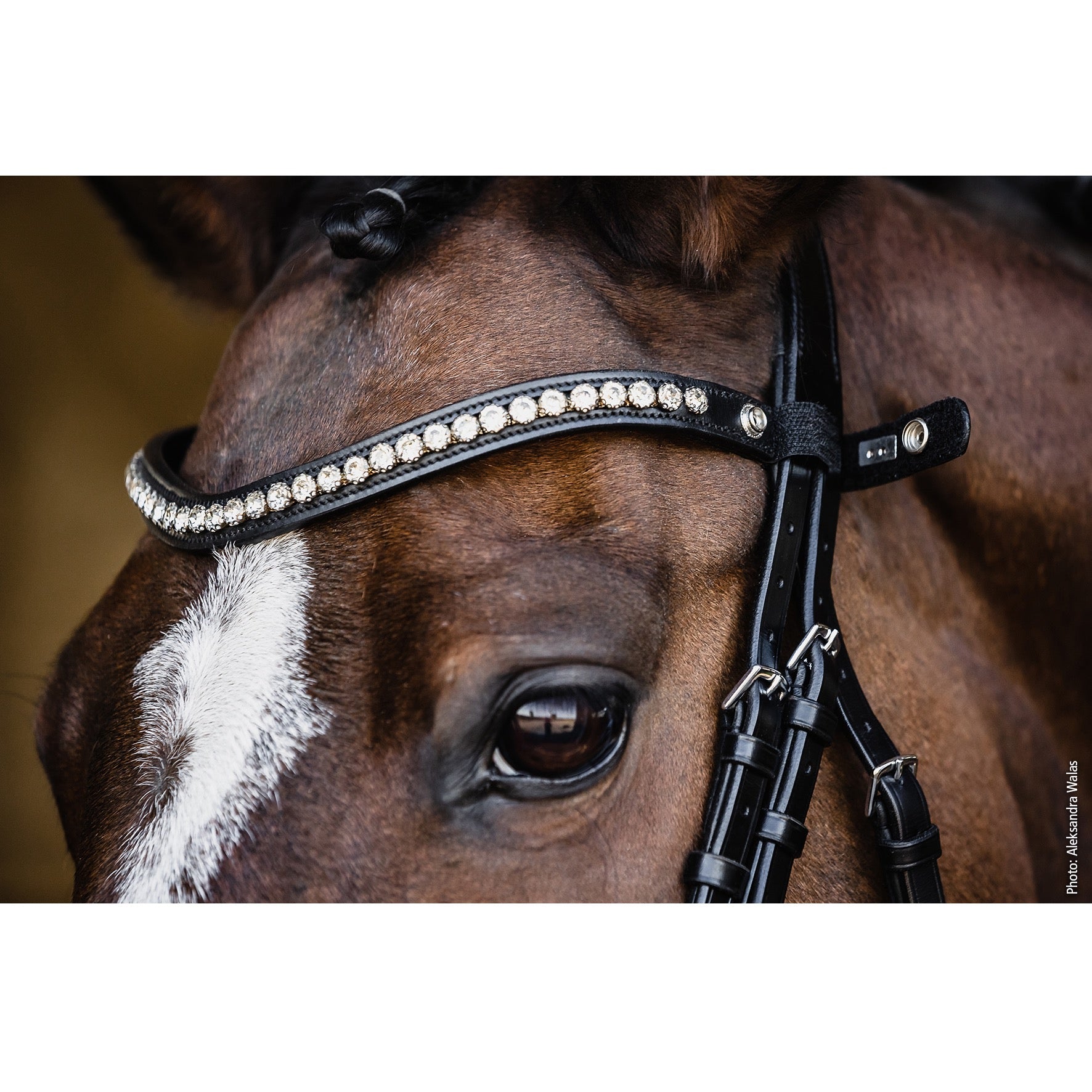 Schockemohle Palermo/Pisa Snap On Browband, Black/Crystal