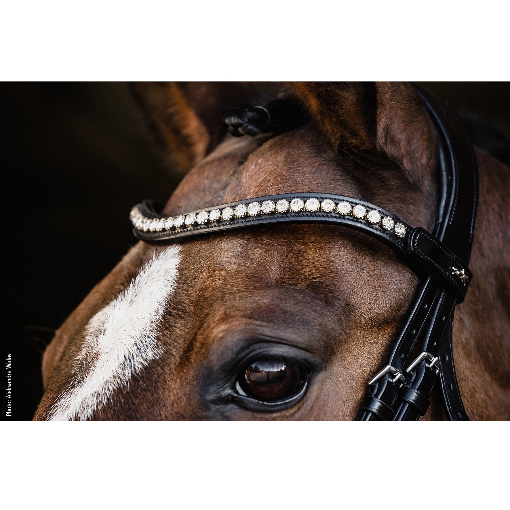 Schockemohle Palermo/Pisa Snap On Browband, Black/Crystal