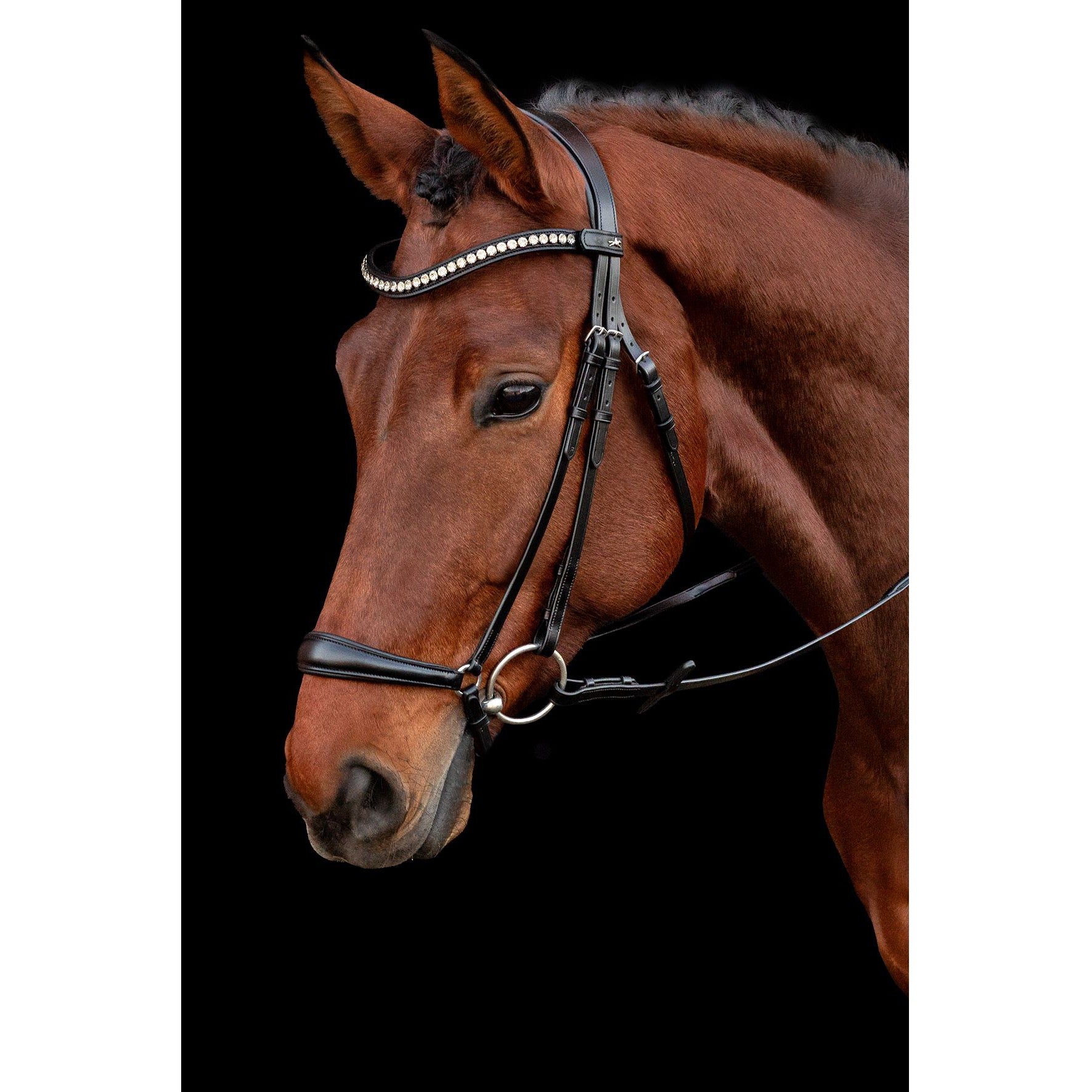 Schockemohle Pisa Anatomical Bridle, Black/Silver