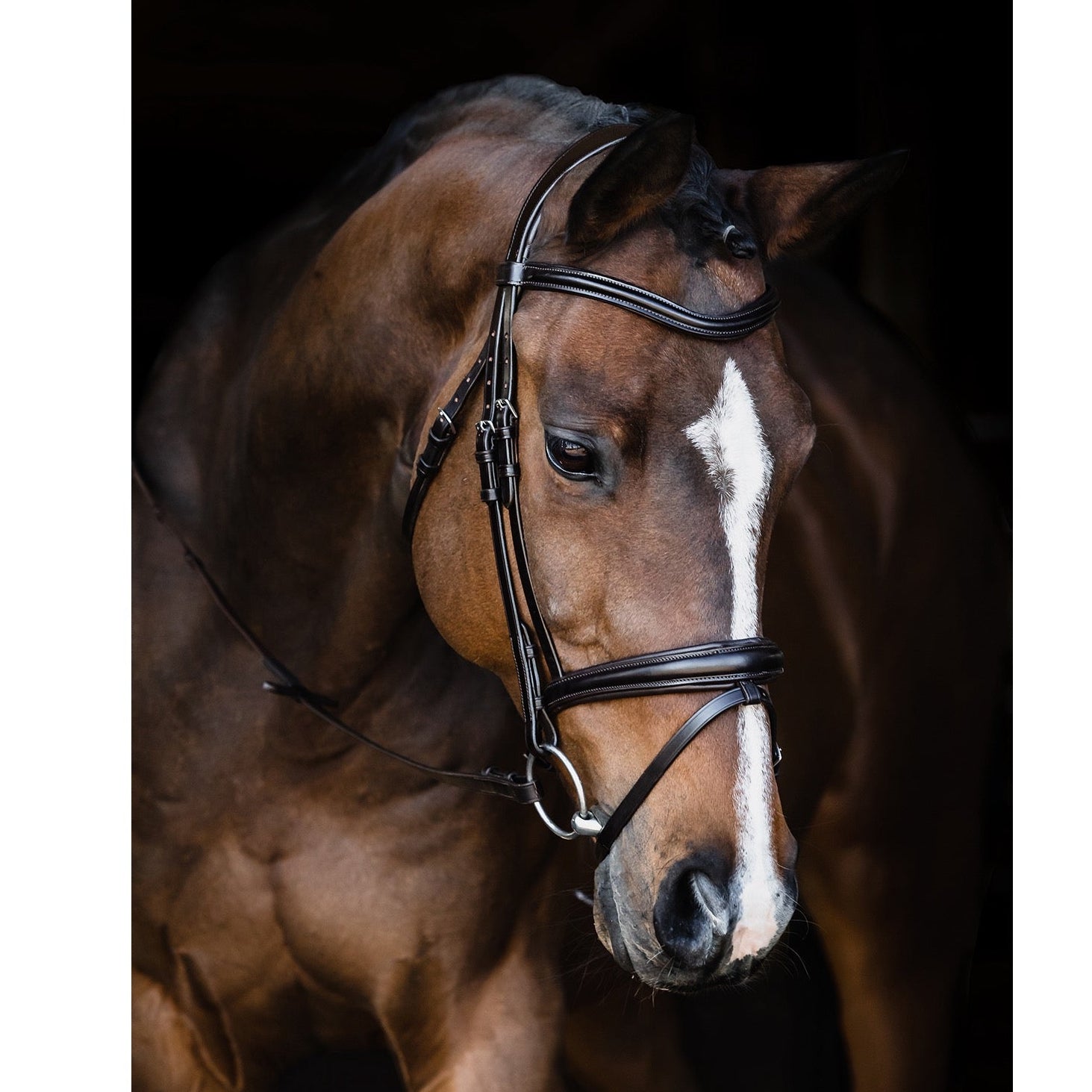 Schockemohle Monza Snaffle Bridle, Black/Silver
