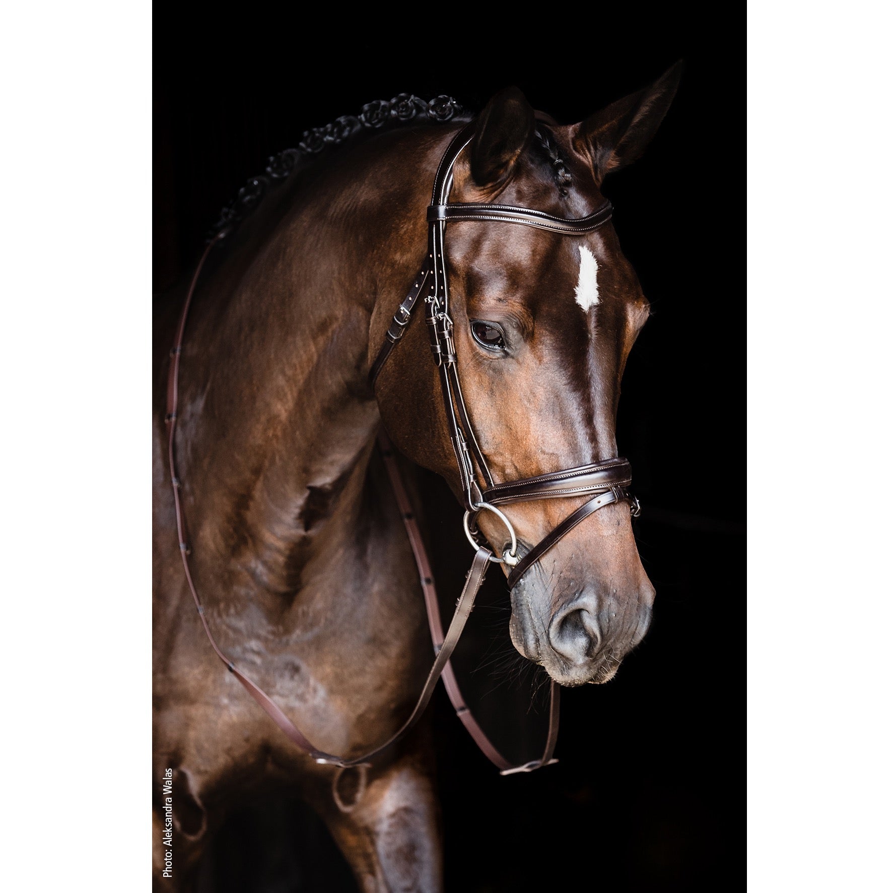 Schockemohle Monza Snaffle Bridle, Dark Brown/Silver