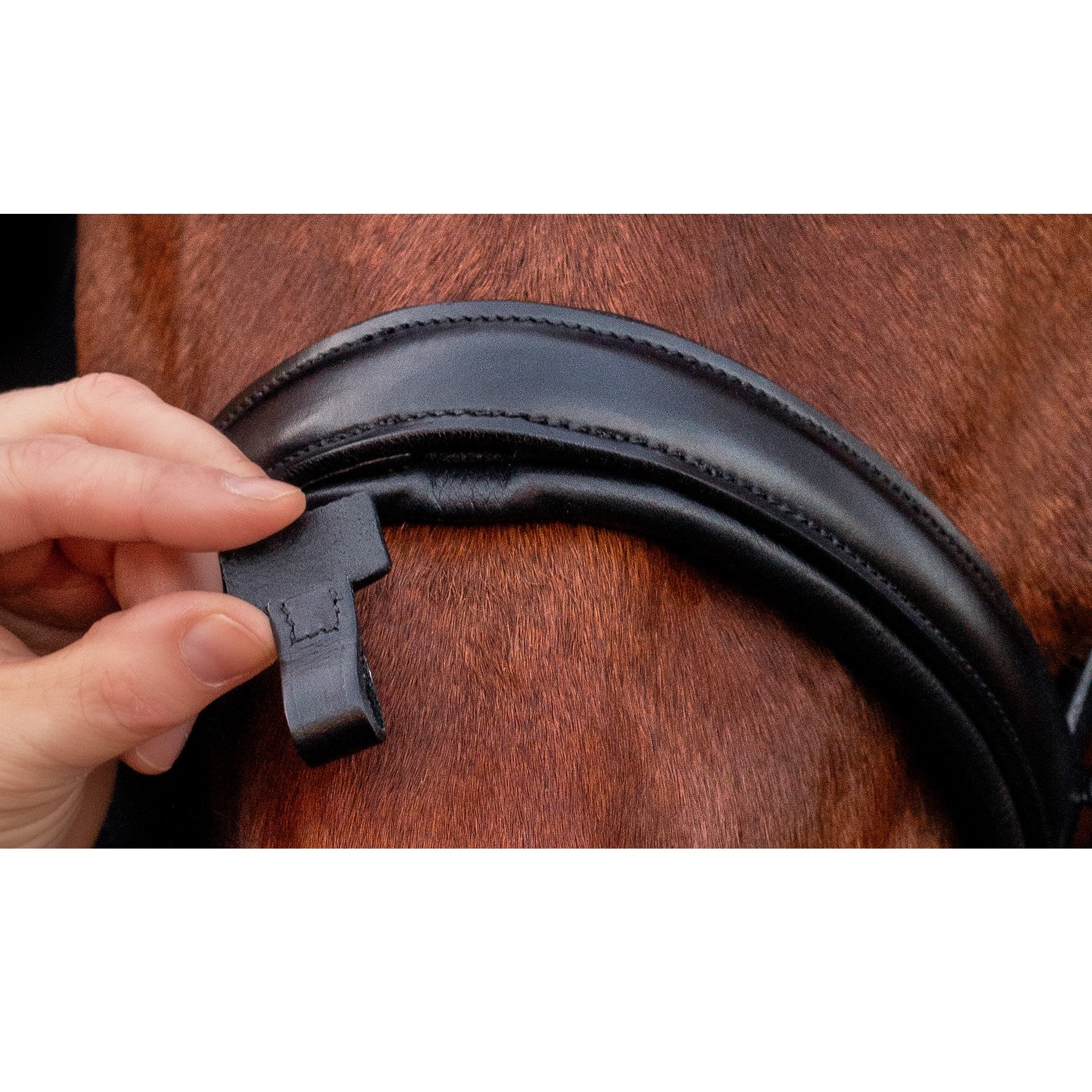 Schockemohle Monza Snaffle Bridle, Dark Brown/Silver