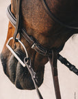 Schockemohle Montreal Select Anatomical Bridle, Espresso/Cream/Silver