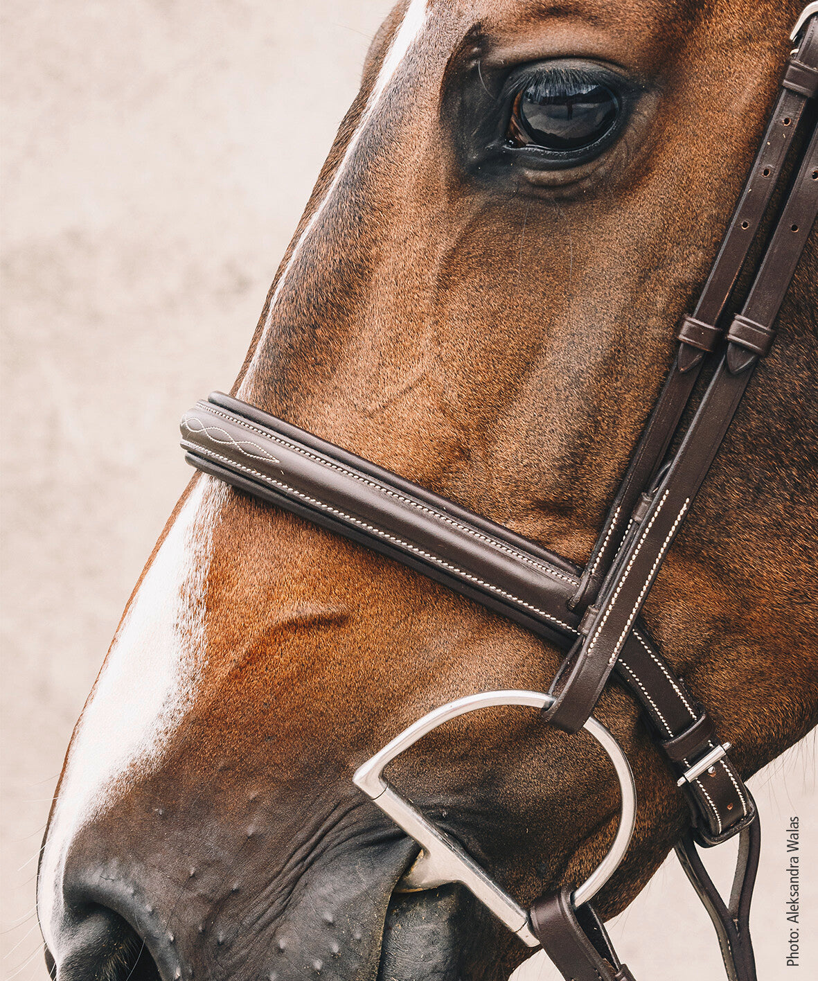 Schockemohle Montreal Select Anatomical Bridle, Espresso/Cream/Silver