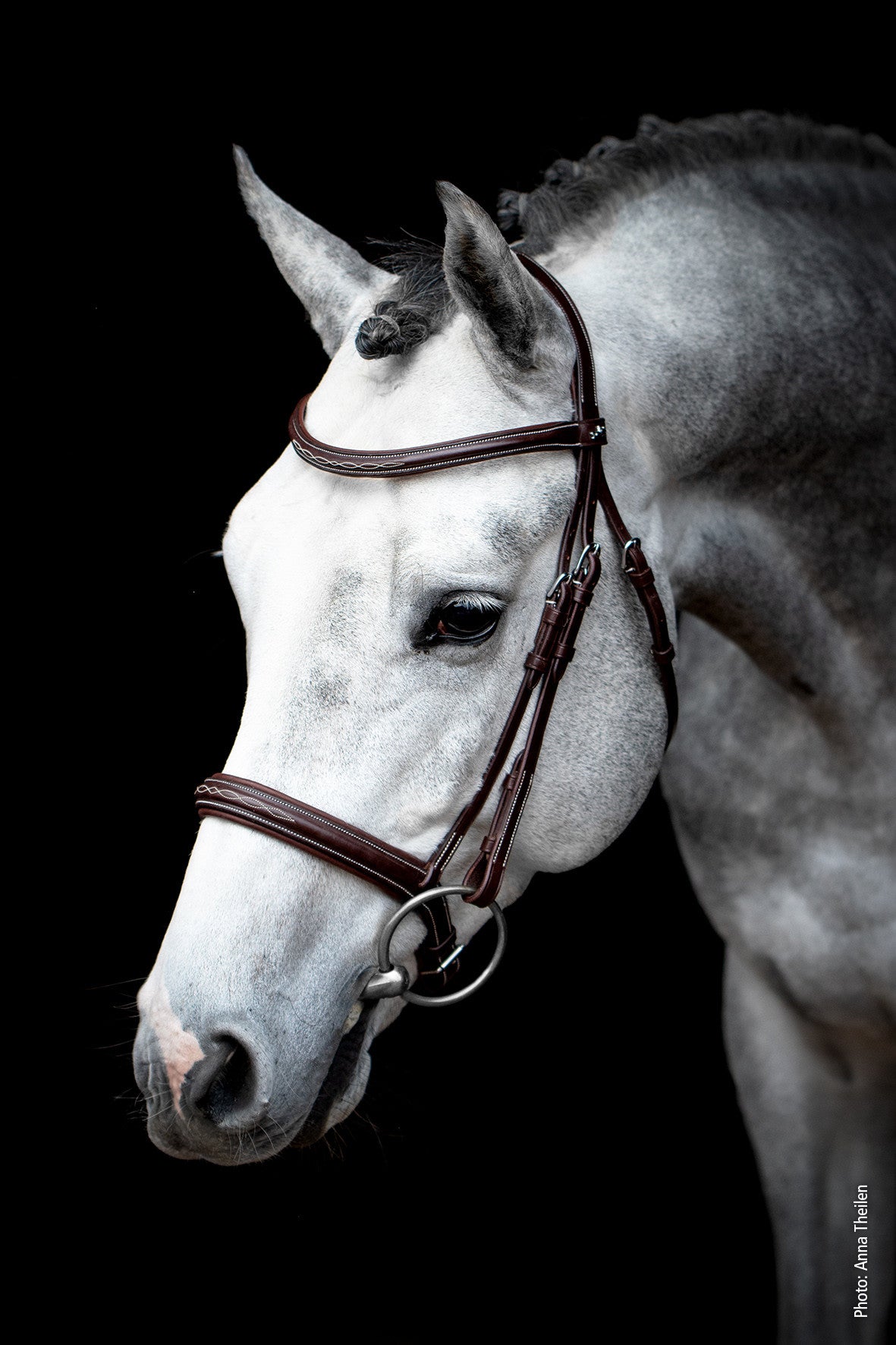 Schockemohle Montreal Select Anatomical Bridle, Espresso/Cream/Silver