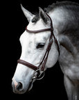 Schockemohle Montreal Select Anatomical Bridle, Espresso/Cream/Silver