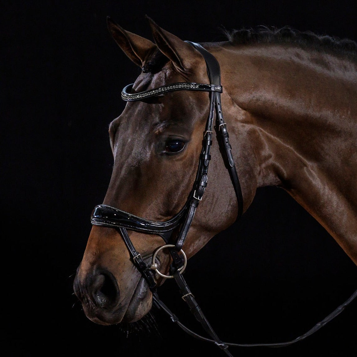 Schockemohle Equitus Beta Glam Anatomical Special Bridle, Black Patent/Silver