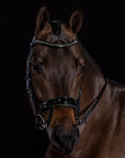 Schockemohle Equitus Beta Glam Anatomical Special Bridle, Black Patent/Silver