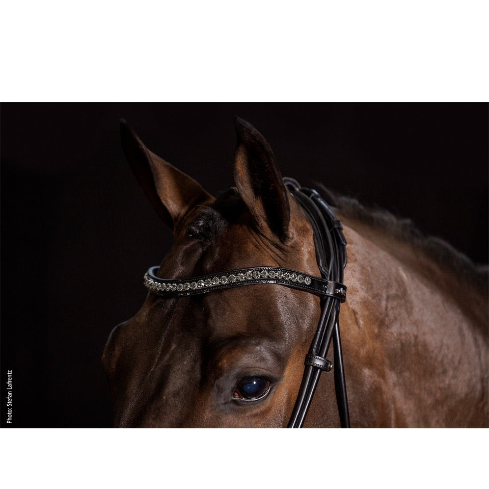 Schockemohle Westminster Round Stitched Anatomic Bridle, Black/Silver