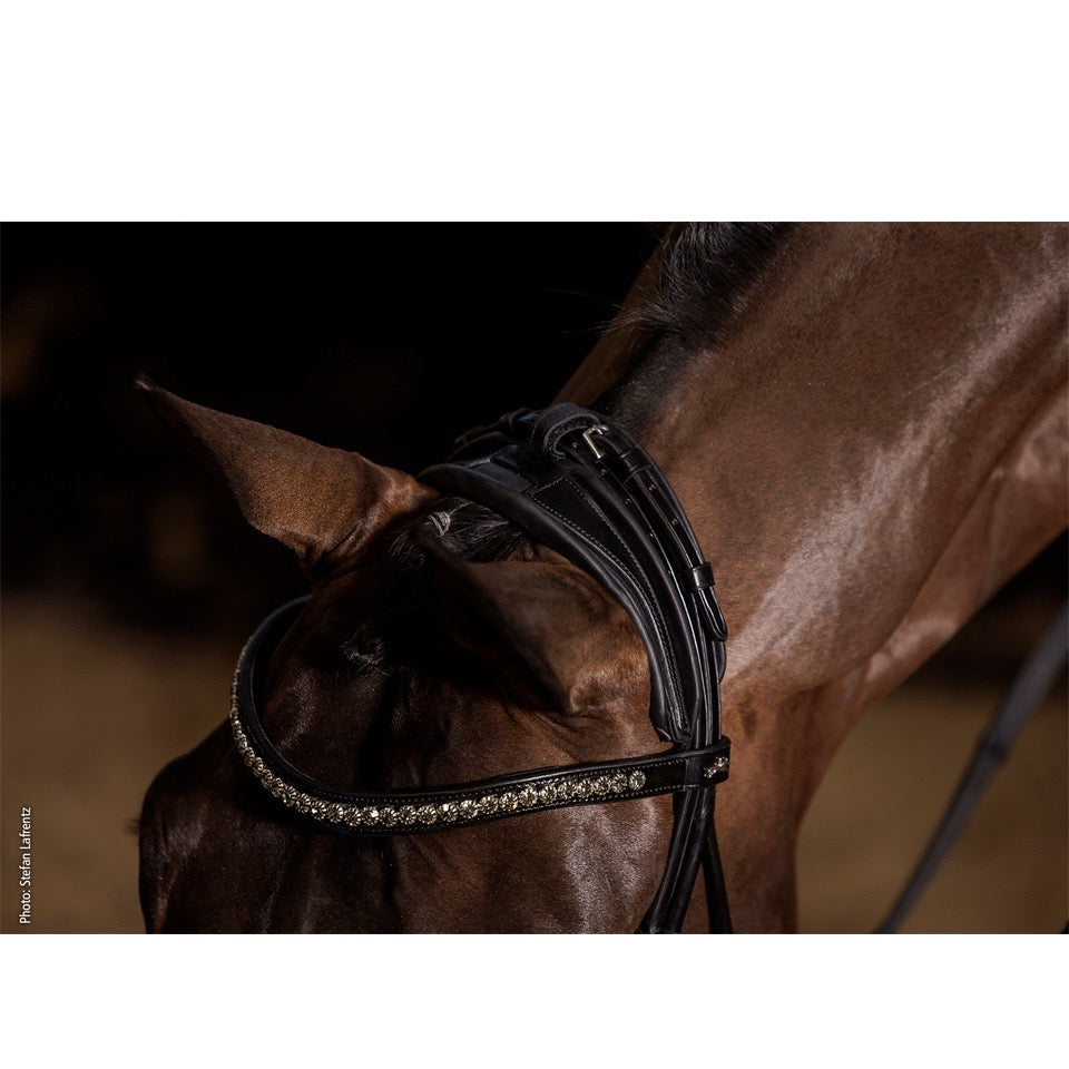 Schockemohle Westminster Round Stitched Anatomic Bridle, Black/Silver