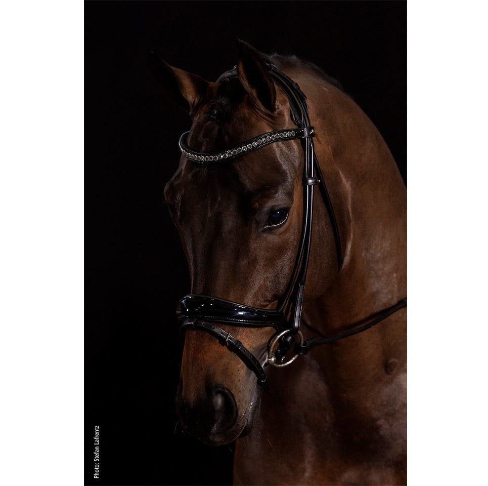 Schockemohle Westminster Round Stitched Anatomic Bridle, Black/Silver