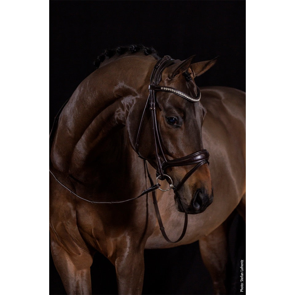 Schockemohle Westminster Round Stitched Anatomic Bridle, Black/Silver