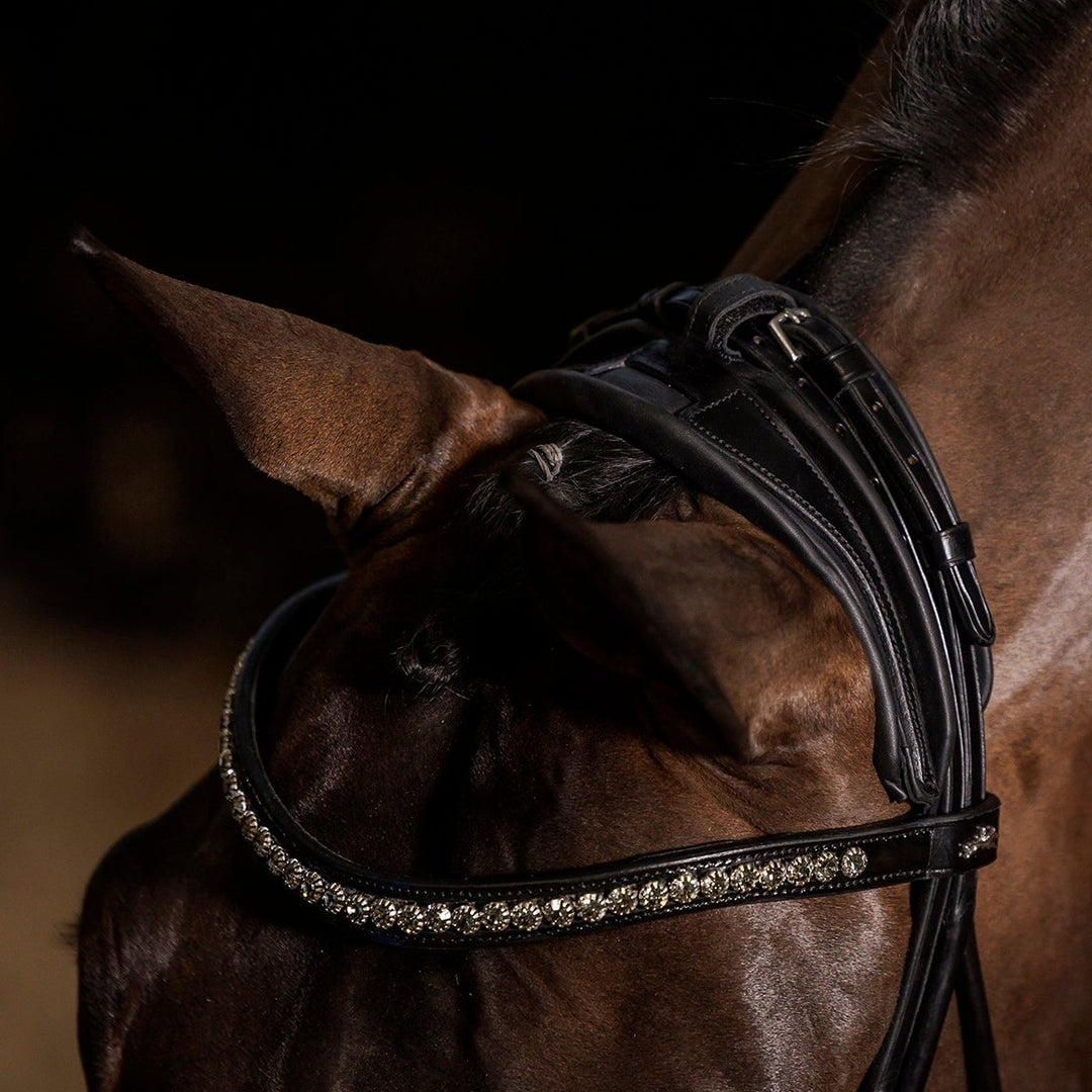 Schockemohle Westminster Round Stitched Anatomic Bridle, Black Patent/Silver