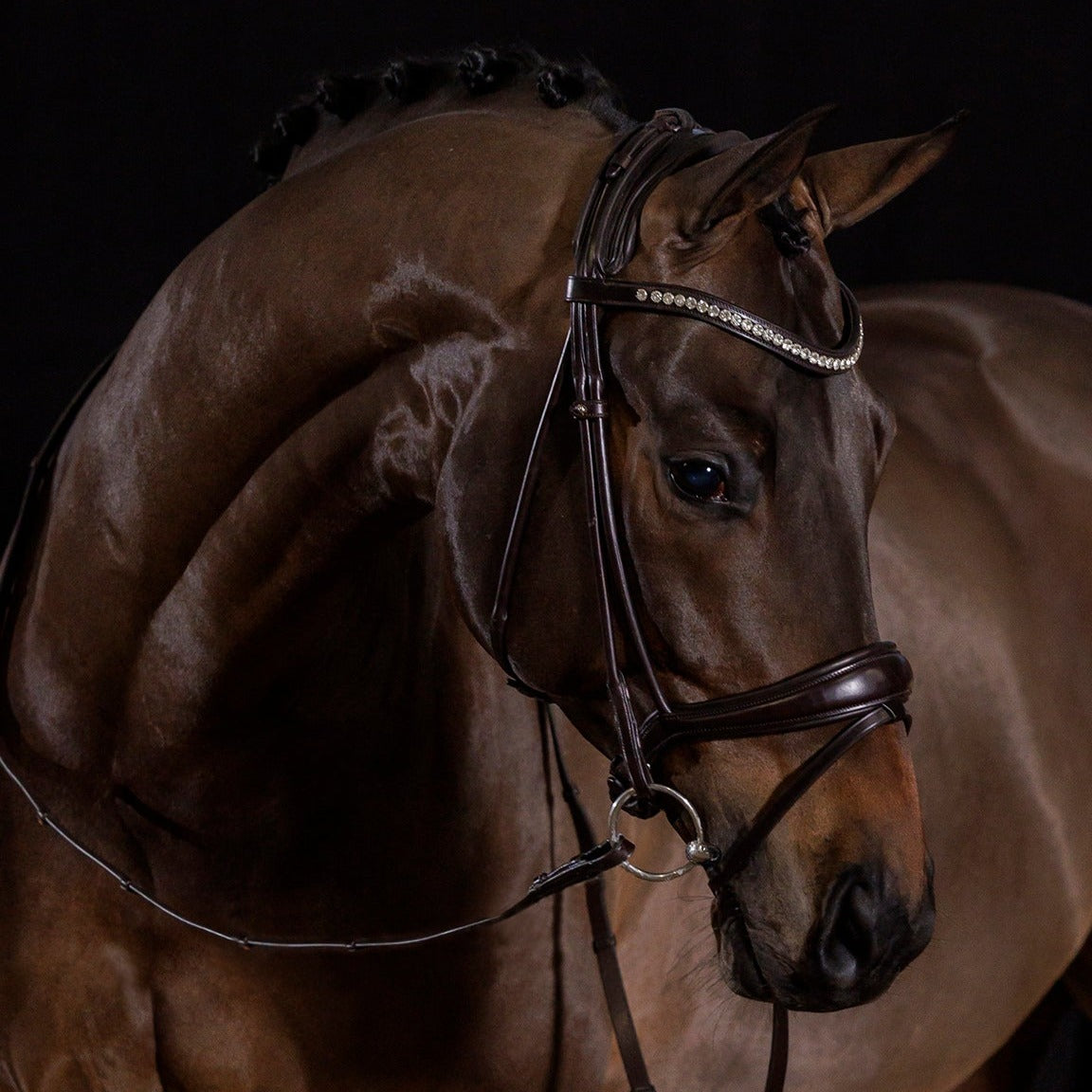 Schockemohle Westminster Round Stitched Anatomic Bridle, Espresso/Silver
