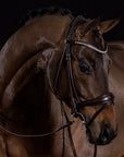 Schockemohle Westminster Round Stitched Anatomic Bridle, Espresso/Silver