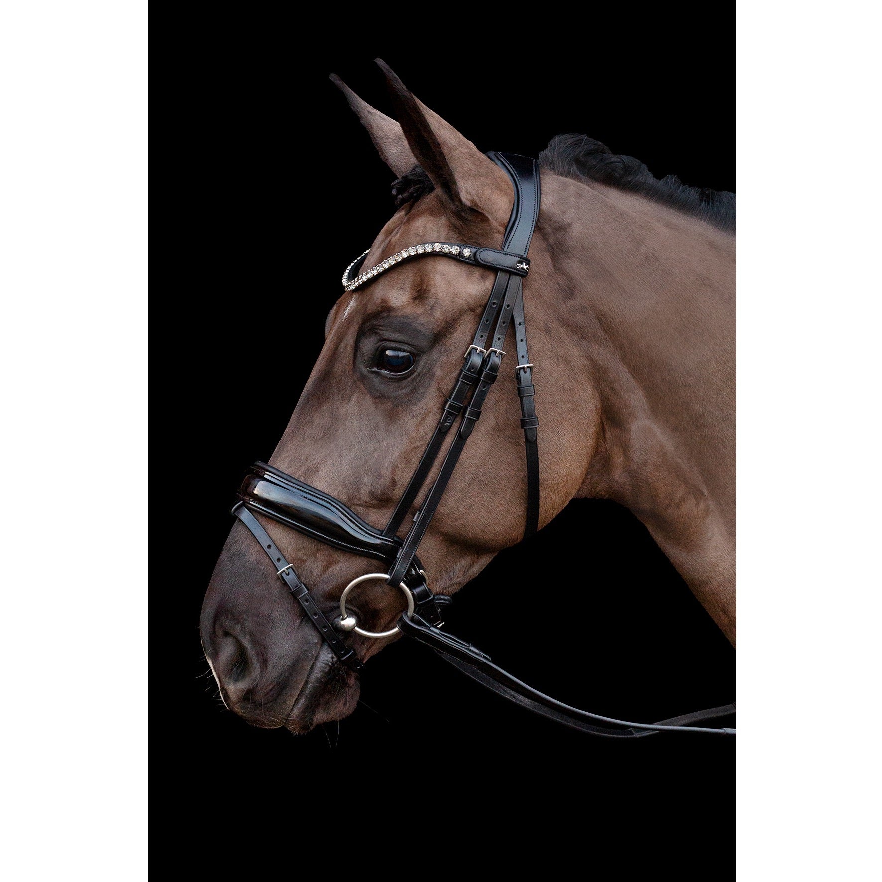 Schockemohle Siena Dressage Bridle, Black Patent / Gray