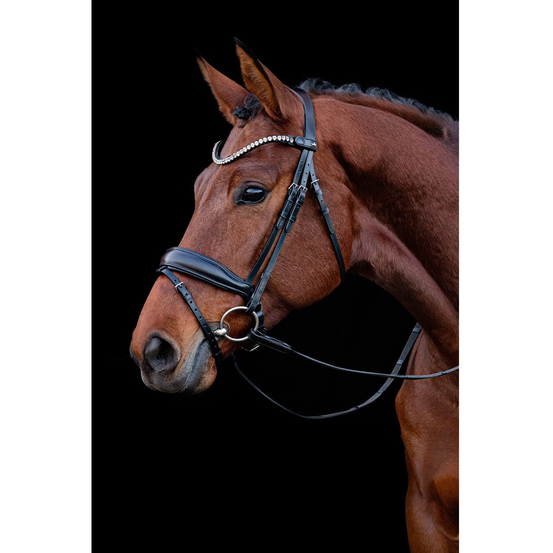 Schockemohle Siena Dressage Bridle, Black/Silver