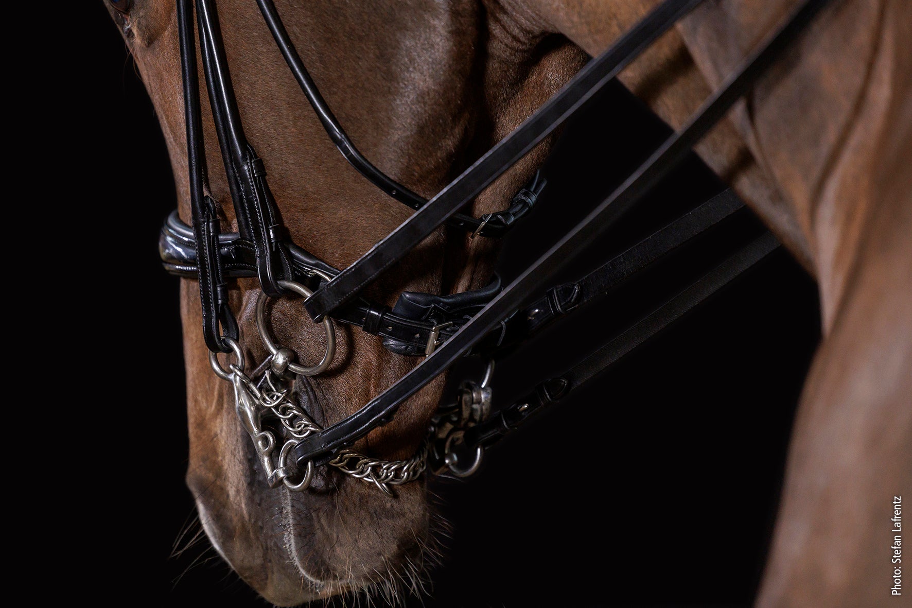 Schockemohle Kensington Rolled Anatomic Double Bridle, Black Patent/Silver