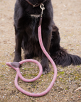Pénélope Billie Dog Leash, Pink