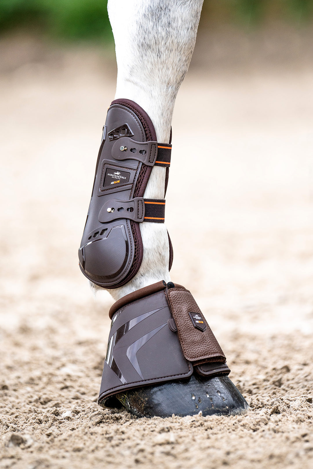 Schockemohle Air Flow Champion Tendon Boots, Brown