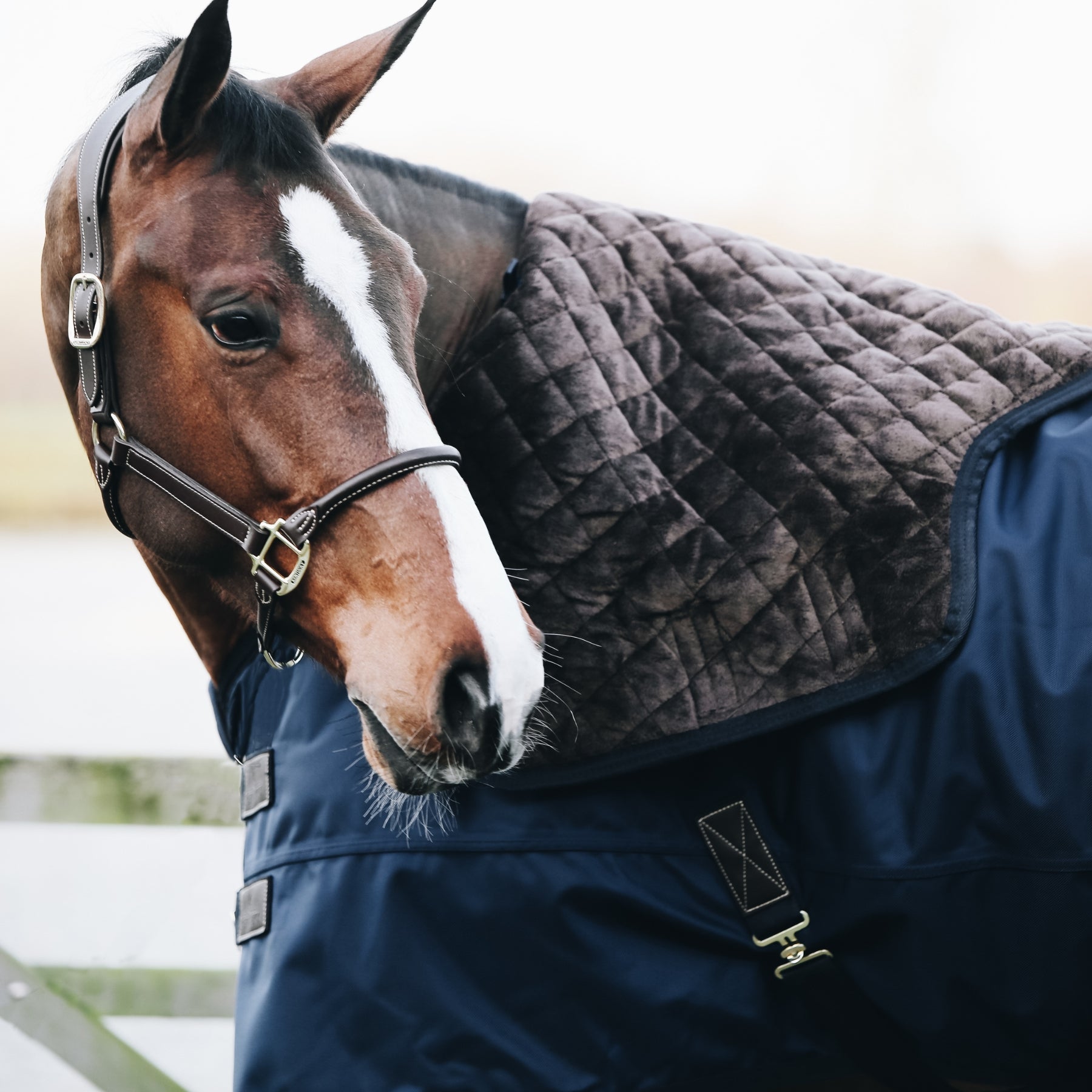 Kentucky Horsewear Turnout Rug All Weather Waterproof, 0g