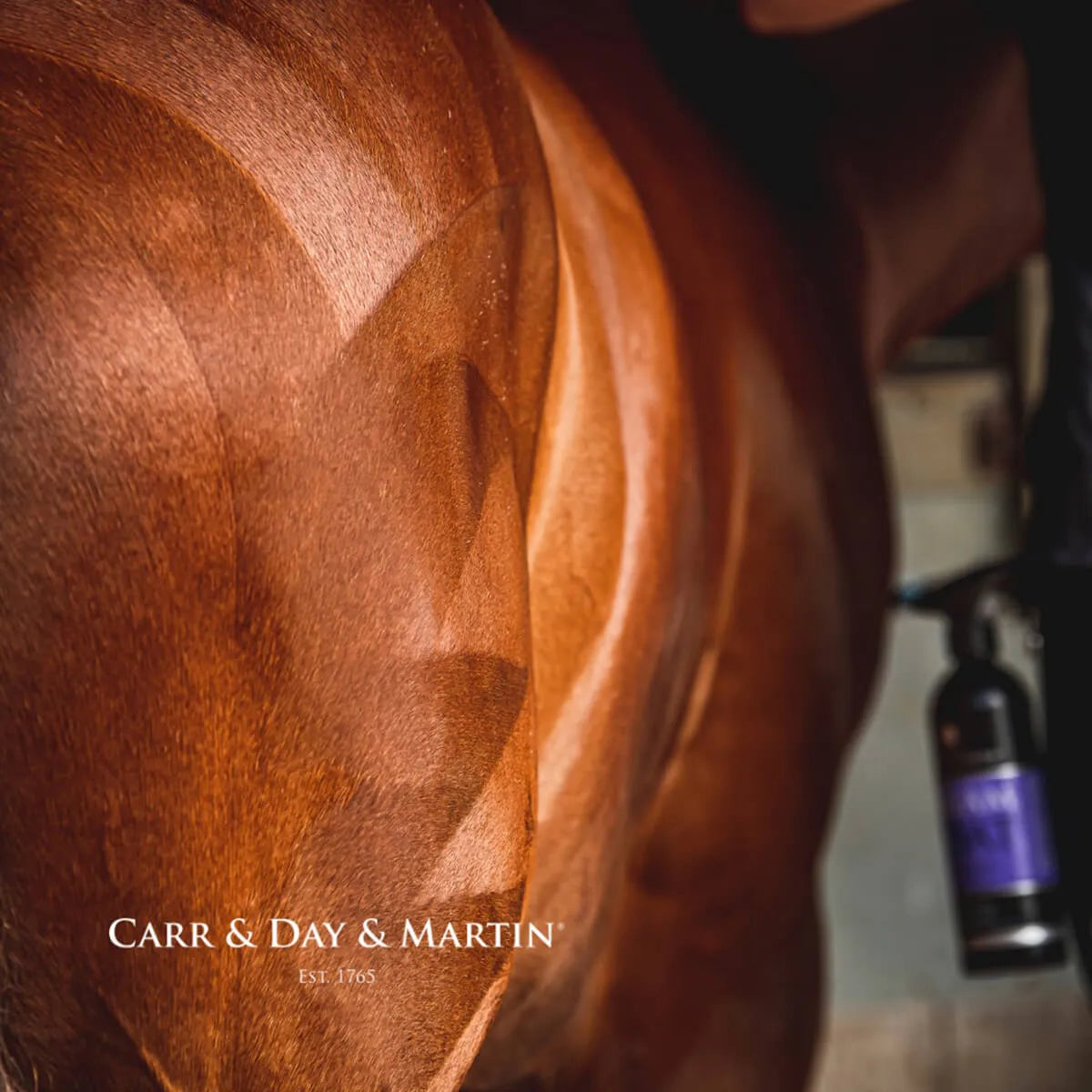 Carr & Day & Martin Dream Coat Ultimate Coat Finish for Horses