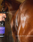 Carr & Day & Martin Dream Coat Ultimate Coat Finish for Horses