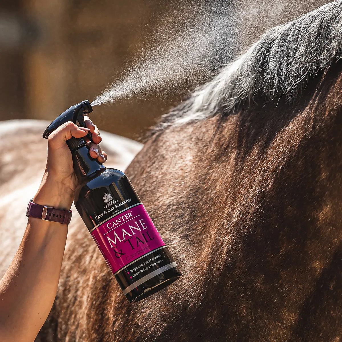 Carr & Day & Martin Canter Mane & Tail Conditioner - Original
