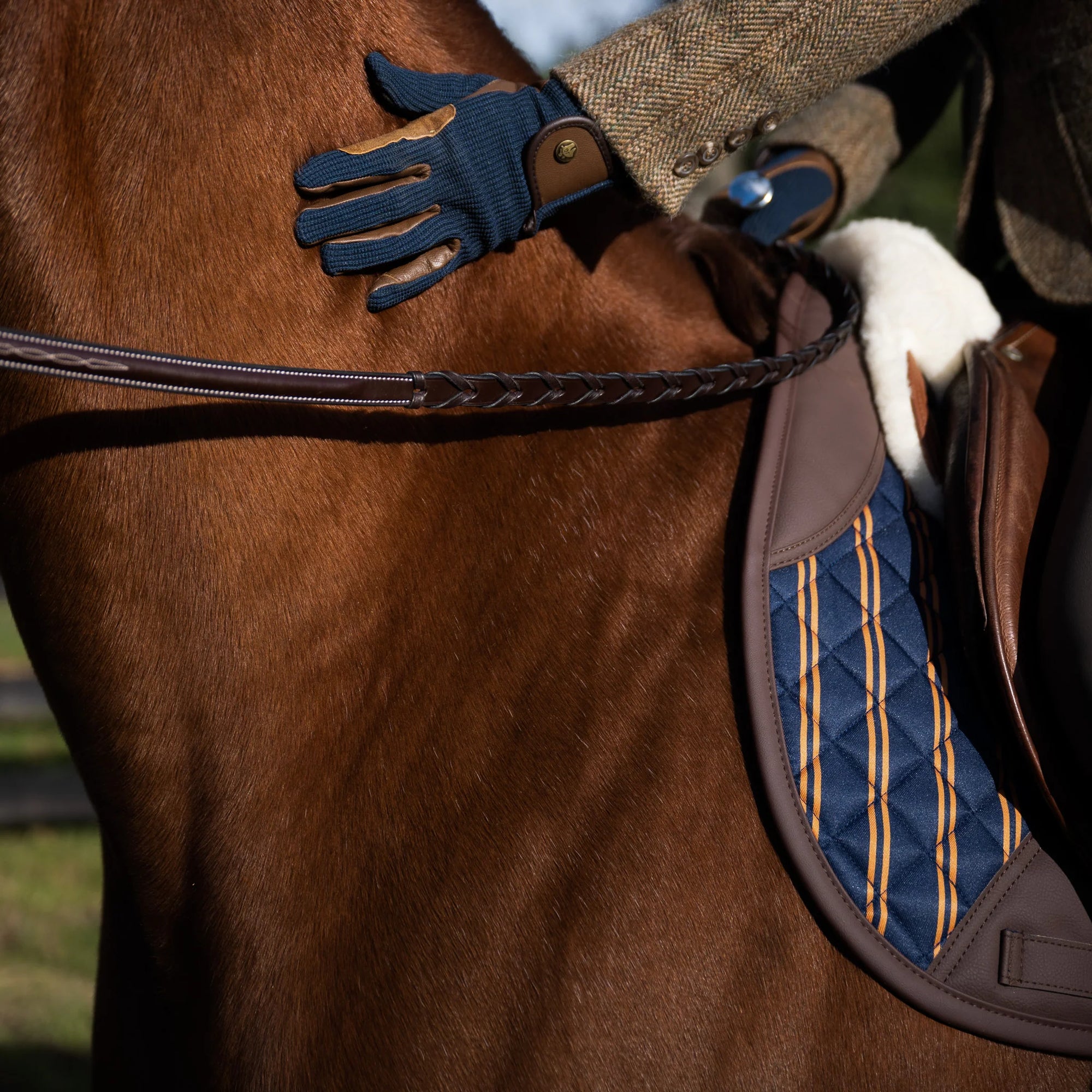 Sixteen Cypress Dressage Saddle Pad, Peninsula Stripe