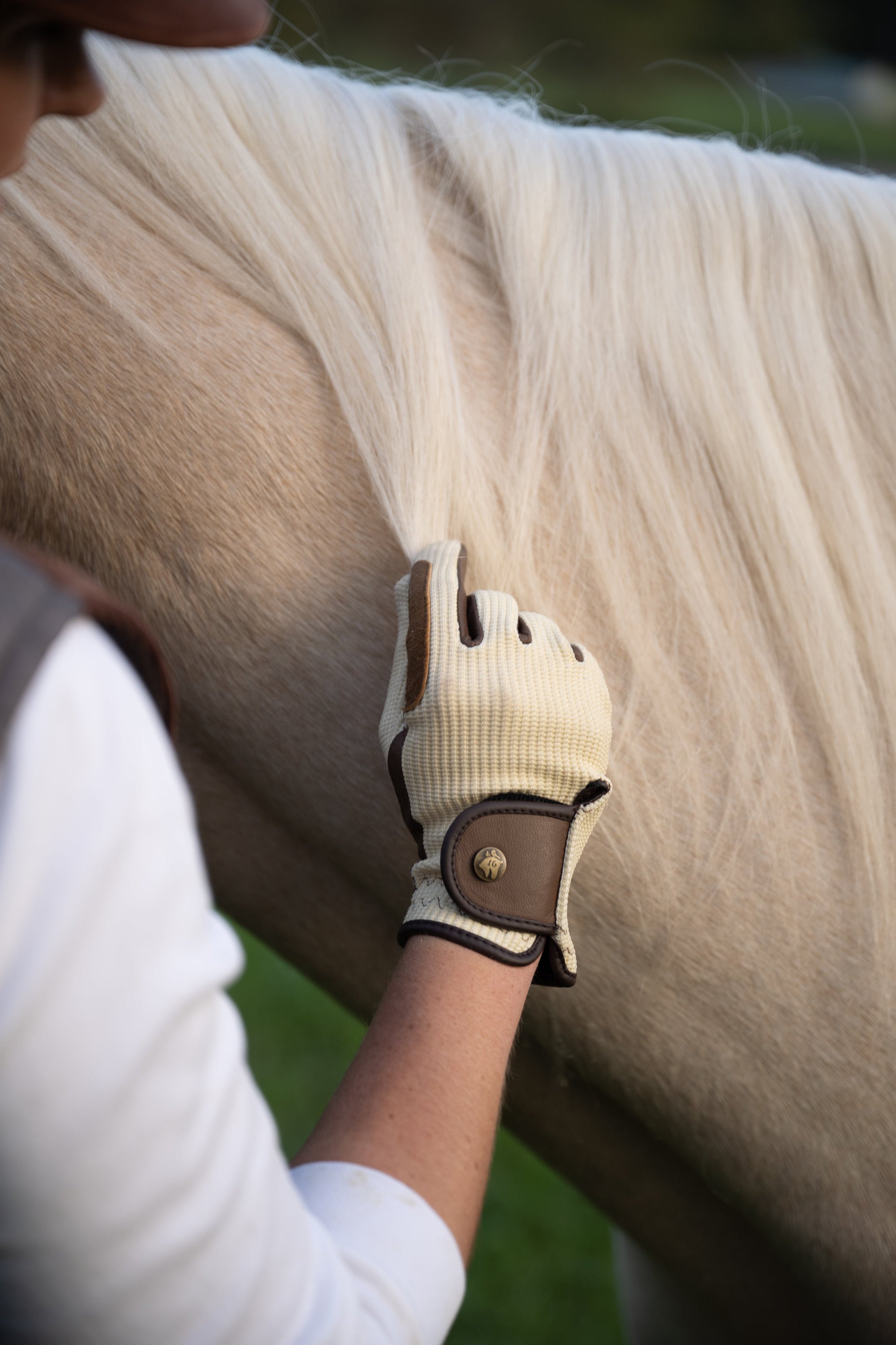 Sixteen Cypress Riding Gloves, Ivory & Cognac
