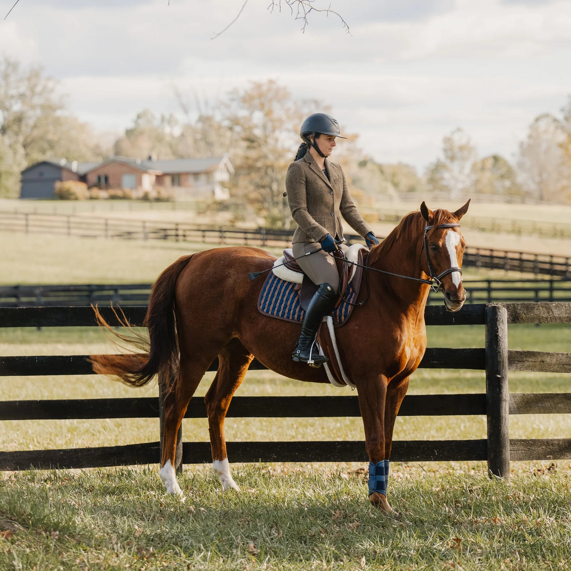 Sixteen Cypress Dressage Saddle Pad, Peninsula Stripe