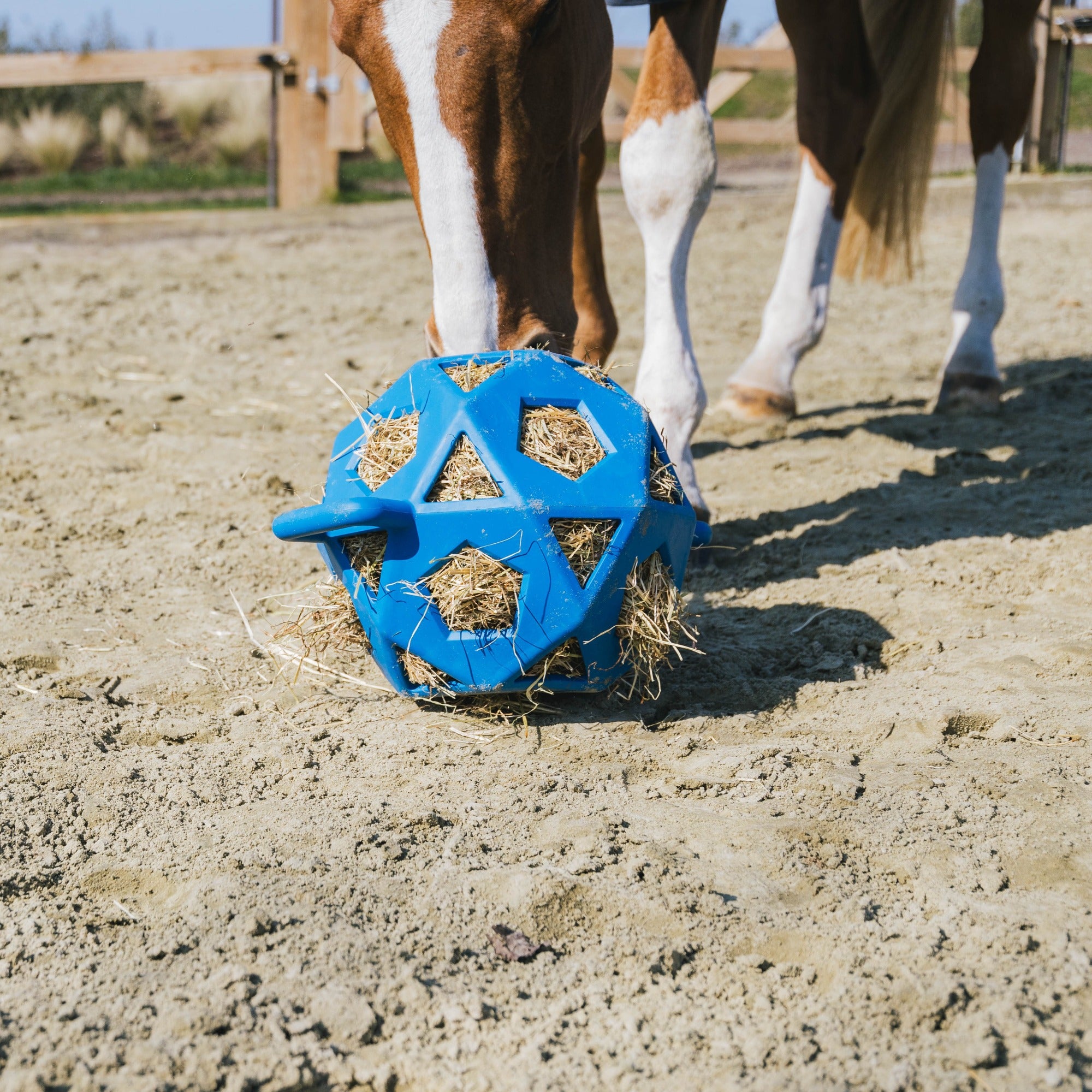Kentucky Horsewear Relax Horse Play & Hay Ball, Royal Blue