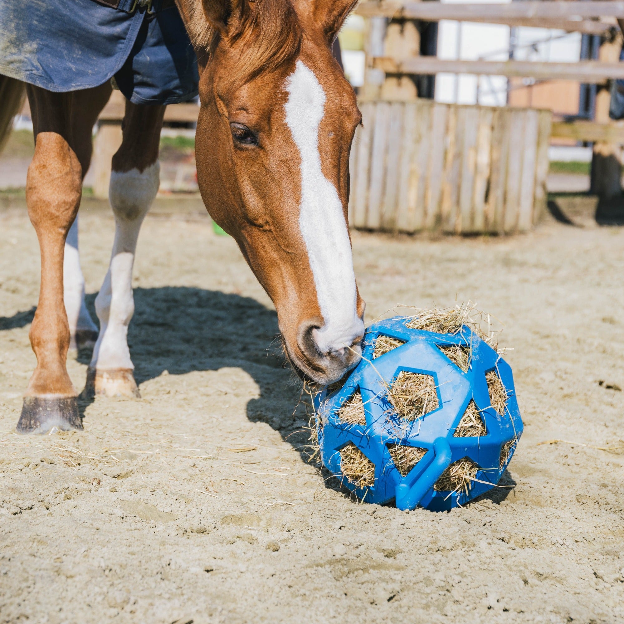 Kentucky Horsewear Relax Horse Play & Hay Ball, Royal Blue
