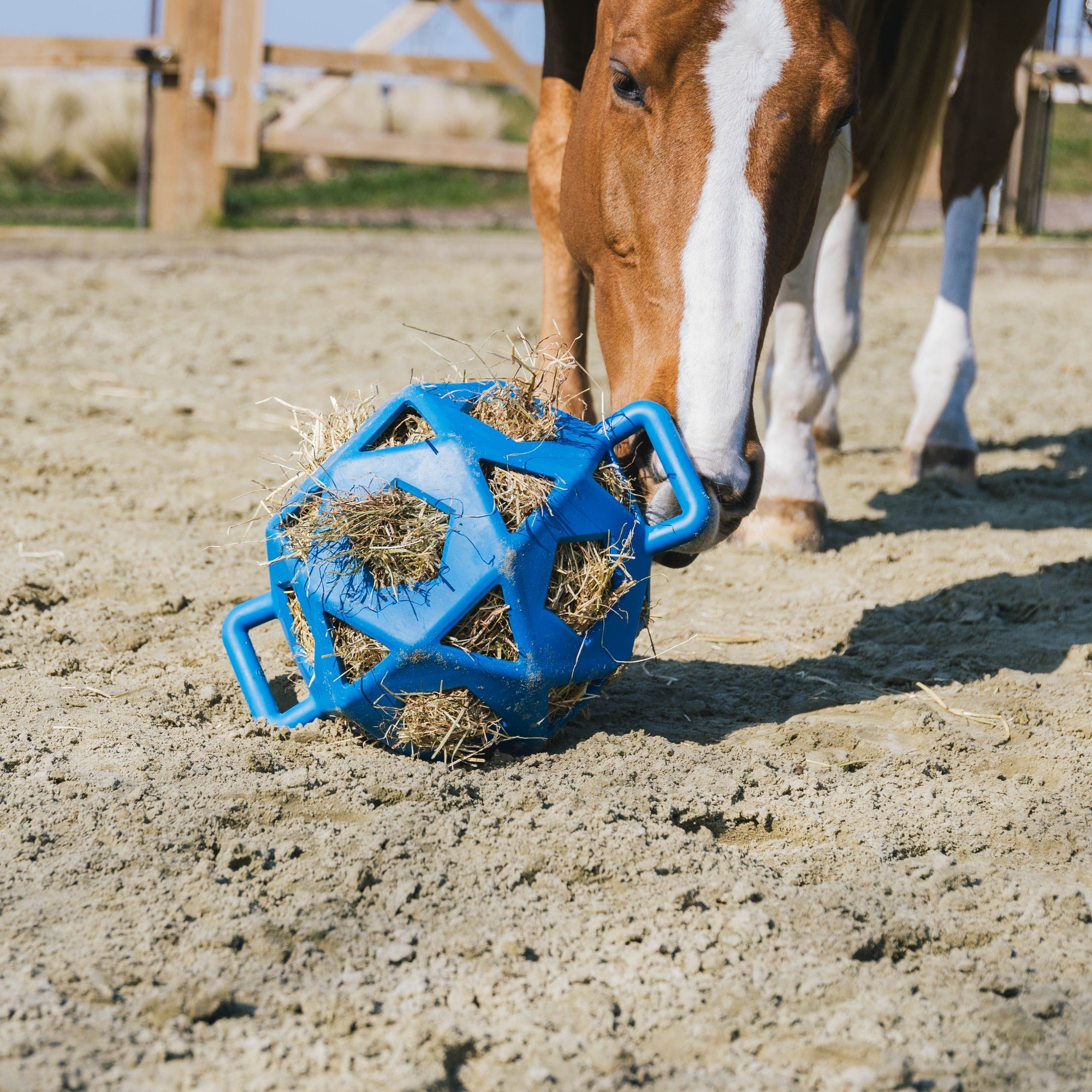 Kentucky Horsewear Relax Horse Play & Hay Ball, Royal Blue