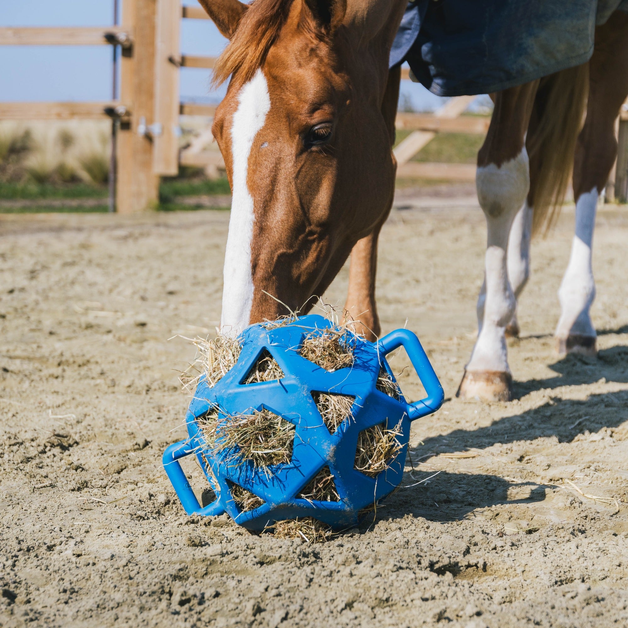 Kentucky Horsewear Relax Horse Play & Hay Ball, Royal Blue