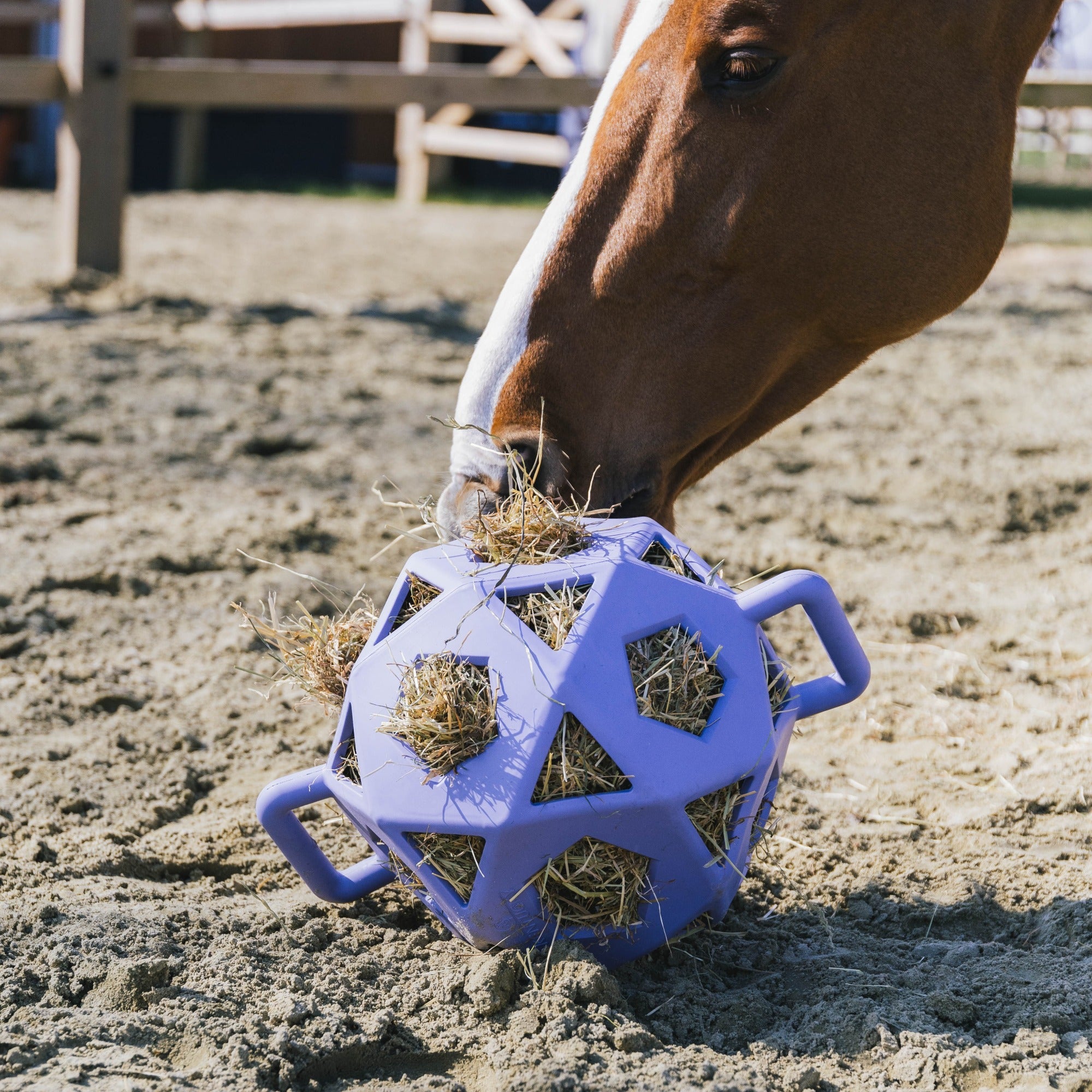 Kentucky Horsewear Relax Horse Play & Hay Ball, Lavender