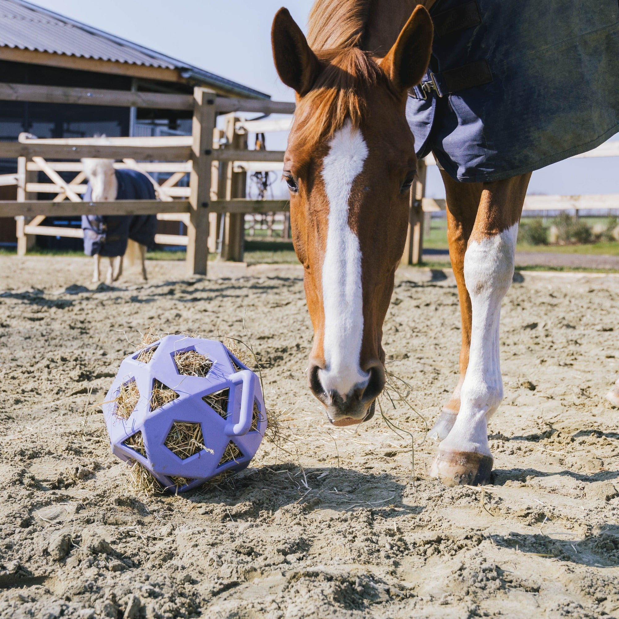 Kentucky Horsewear Relax Horse Play & Hay Ball, Lavender