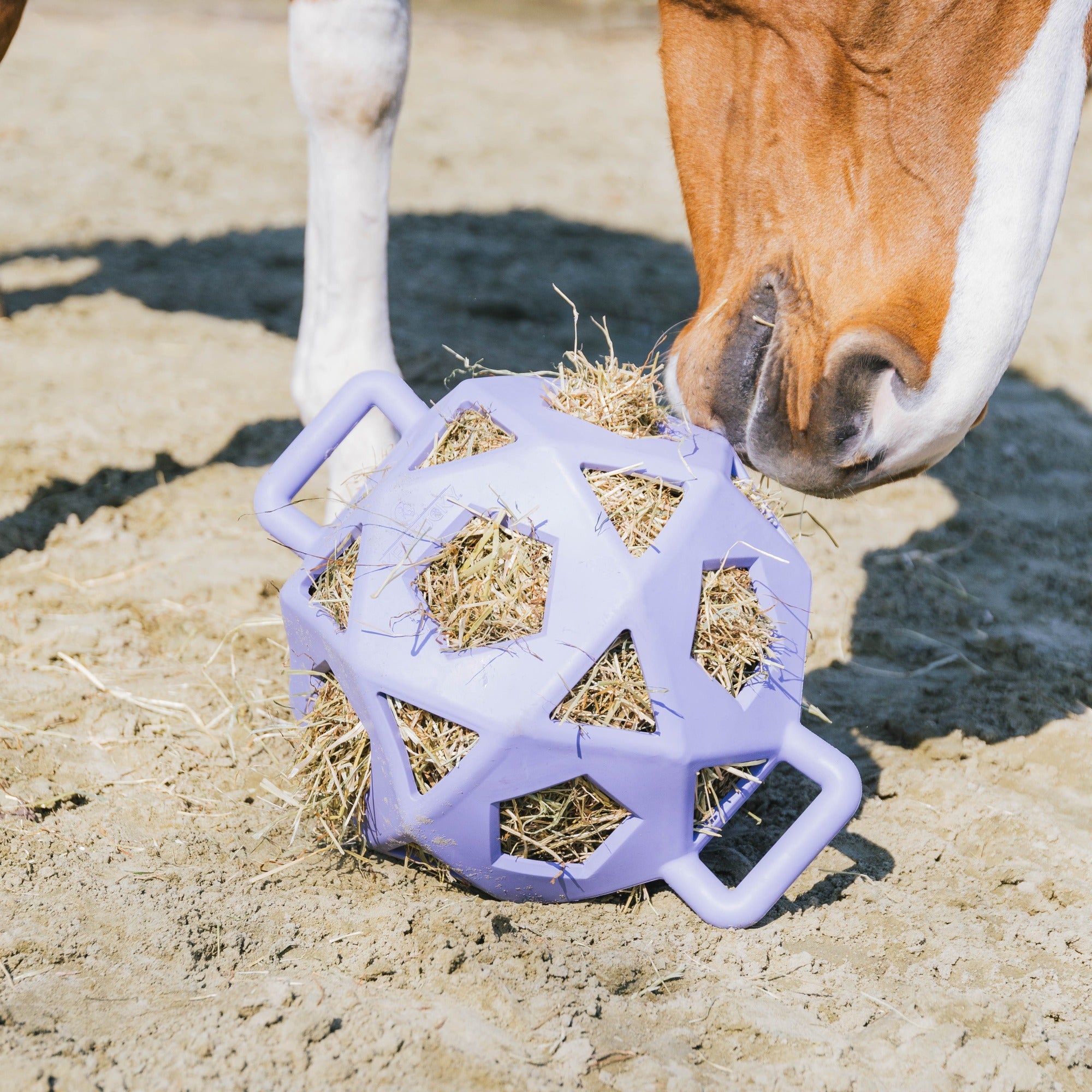 Kentucky Horsewear Relax Horse Play & Hay Ball, Lavender