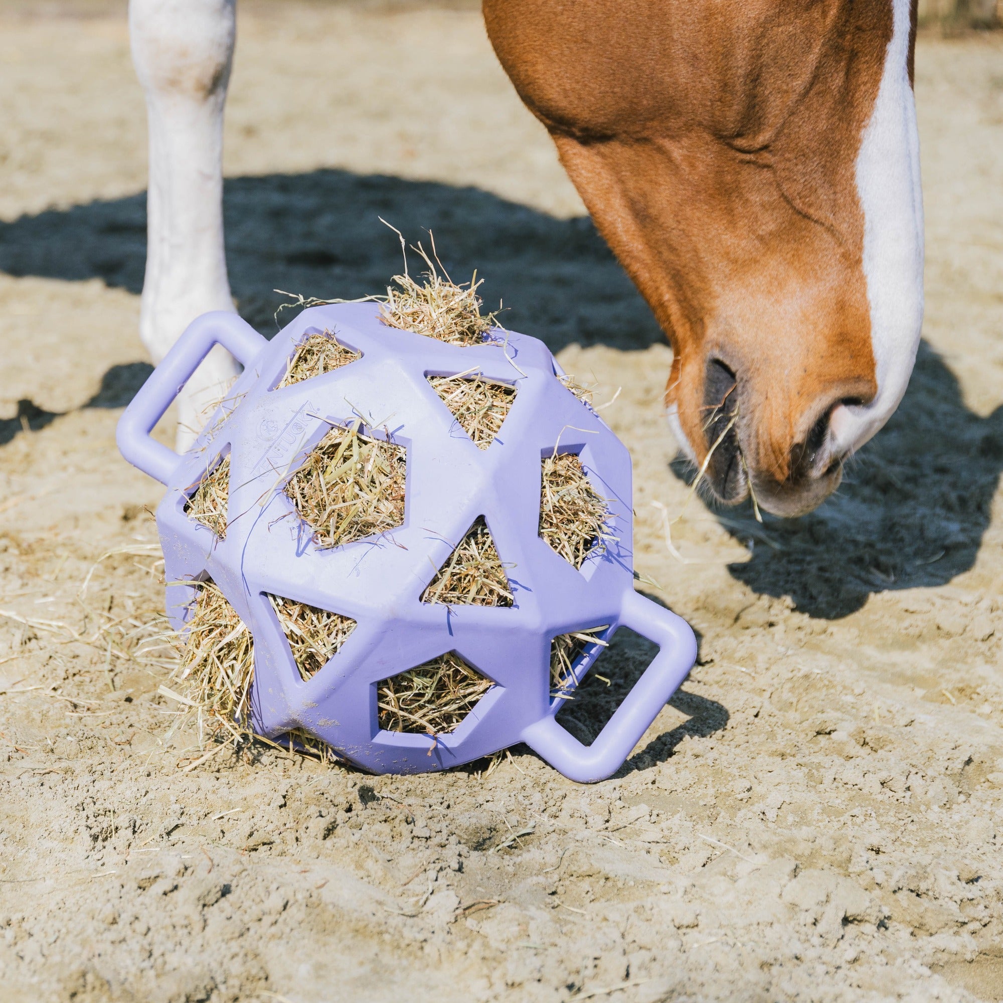 Kentucky Horsewear Relax Horse Play & Hay Ball, Lavender