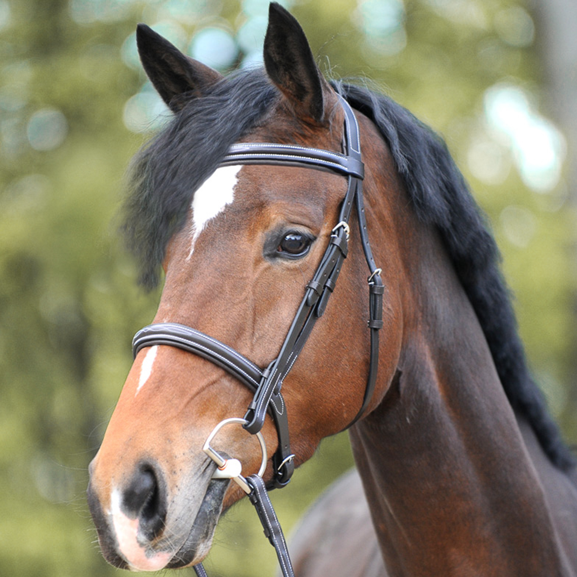 Kavalkade Hunter Bridle "Akila", Brown