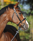 Kavalkade Bridle "Reyna" with Flash, Black