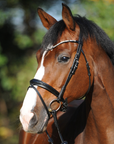 Kavalkade Bridle "Reyna" with Flash, Black
